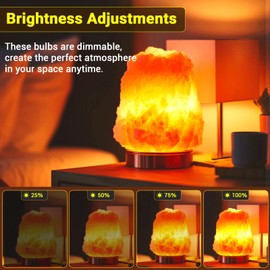 Blakapoo E12 T20 Salt Lamp Bulbs 15W 120V Original Salt Lamp E12 Base Replacement Himalayan Salt Lamps,Salt Lamps Baskets,Plug-in Wax Warmers,Night Lights (Pack of 2)