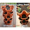 Mr. Stacky TC-1 Planter, Terra Cotta