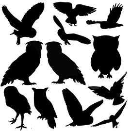 12 x Cute Owl Silhouette Waterproof Sticker Pack - Peel & Stick - Use on Car's, Laptops, Mirrors, Water Bottles, Scrapbooking, Fun Bird Gifts (Black, 5cm (2"))