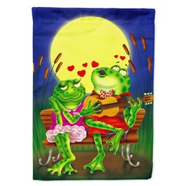 Caroline's Treasures APH0522CHF Frog Love Songs House Flag Large Porch Sleeve Pole Decorative Outside Yard Banner Artwork Wall Hanging, Polyester, House Size, Multicolor