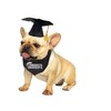 Graduation Cap and Bandana Set for Dog Cat Pet Party