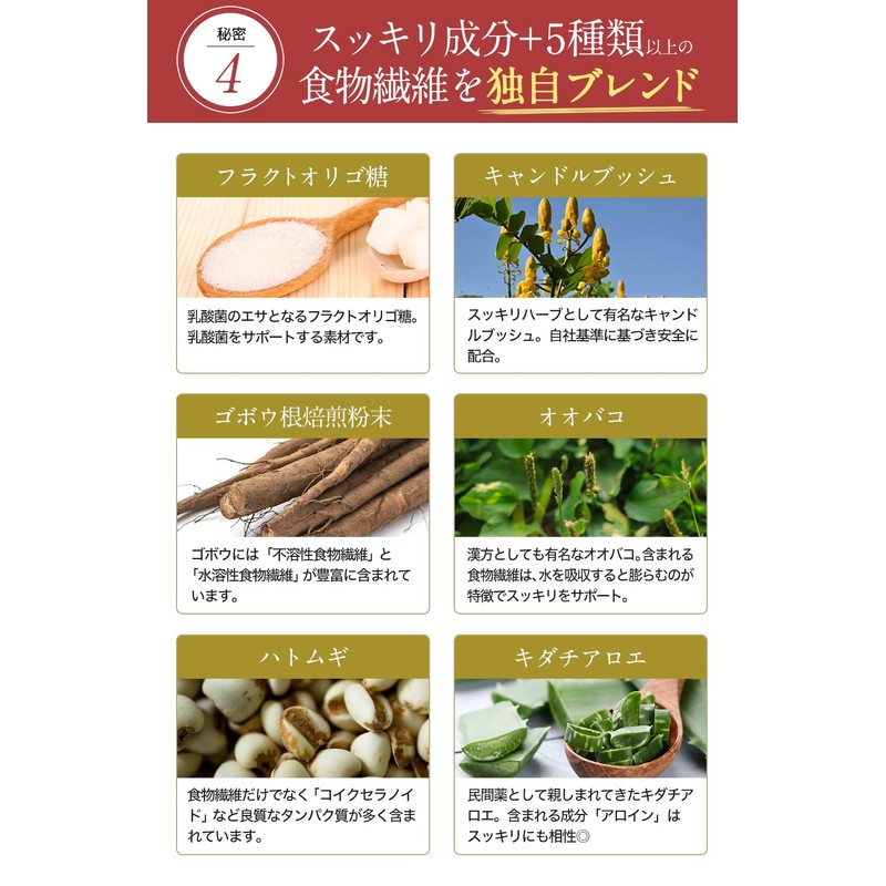 すっきりポン茶 【K-1乳酸菌 1包につき500億個配合】 [ 腸活 どっさりブレンド贅沢配合] フラクトオリゴ糖 20包 国内製造 (1)