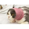 DDFS Cat Ear Cover Calm Cat Ear Wrap Neck Hematoma