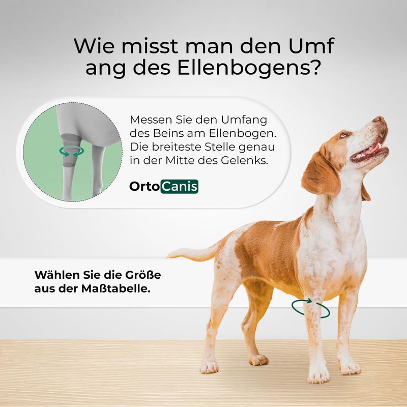 Ortocanis - Elbow Support for Dogs with Osteoarthritis - Injuries