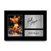 HWC Trading Hulk Hogan A4 Ungerahmt Signiert Gedruckt Autogramme Bild