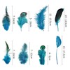 Molirex 160Pcs Blue Feathers for Crafting 8 Styles Pheasant Craft