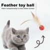 Asitanie Pack of 3 Cat Toy Feathers Interactive Shuttlecock Toy