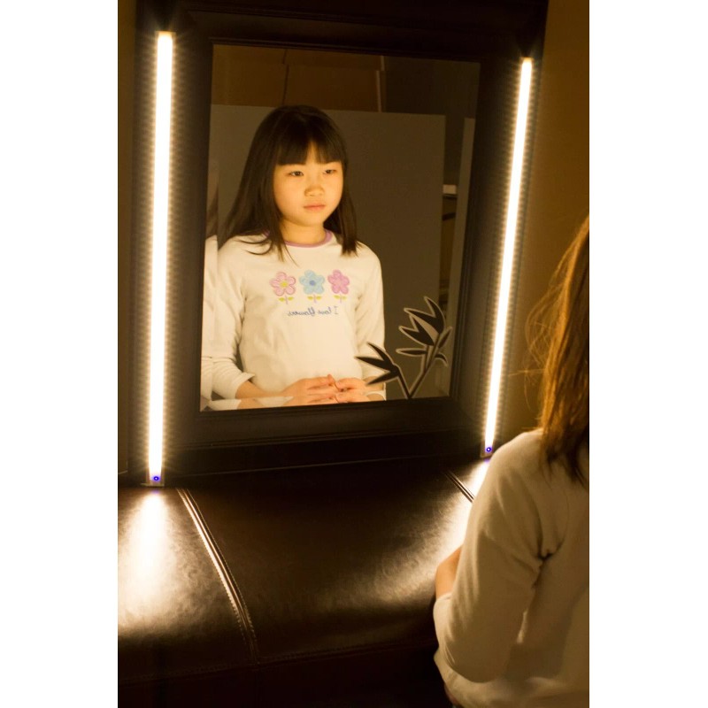 LEDUPDATES 2pcs Vanity MIRROR LED LIGHT Warm white SET +