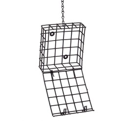 Birds Choice Suet Cage Feeder, Holds 1 Suet Cake | Hanging Bird Suet Feeder for Woodpeckers, Jays, Nuthatches | Vinyl Coated Grids | Sturdy for Garden, Backyard, Outdoor | 4.75" L x 1.625" W x 6" H