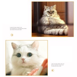 Cat Tunnel, Safe Environment Friendly Interactive Rainbow Pet Toy for Small Pets, Dogs, Indoor Cats with Ball and Peek Holes, Foldable Crinkle Toy (Straight Tunnel)