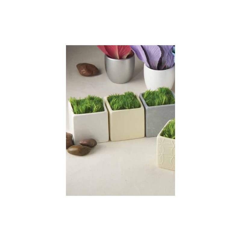 Ivy Lane Design - Juego de 5 macetas cuadradas Lisas