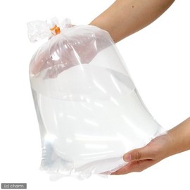 fissyubaggu Large (Bag of 10 + Rubber Bands 22 Pcs)