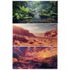COMSUN 3 Pack Terrarium Background, 48x18 inches Polyester Reptile Background,
