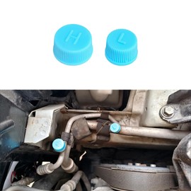 QZTYTY Replacement Valve Cap for Car Air Conditioning, Refrigerant Cap, R134a AC System Charging Port Caps (High and Low Pressure) Valves, Vehicle Air Conditioning Seal Accessories for Cars (2PCS)