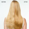 Olaplex Total Hair Repair Set