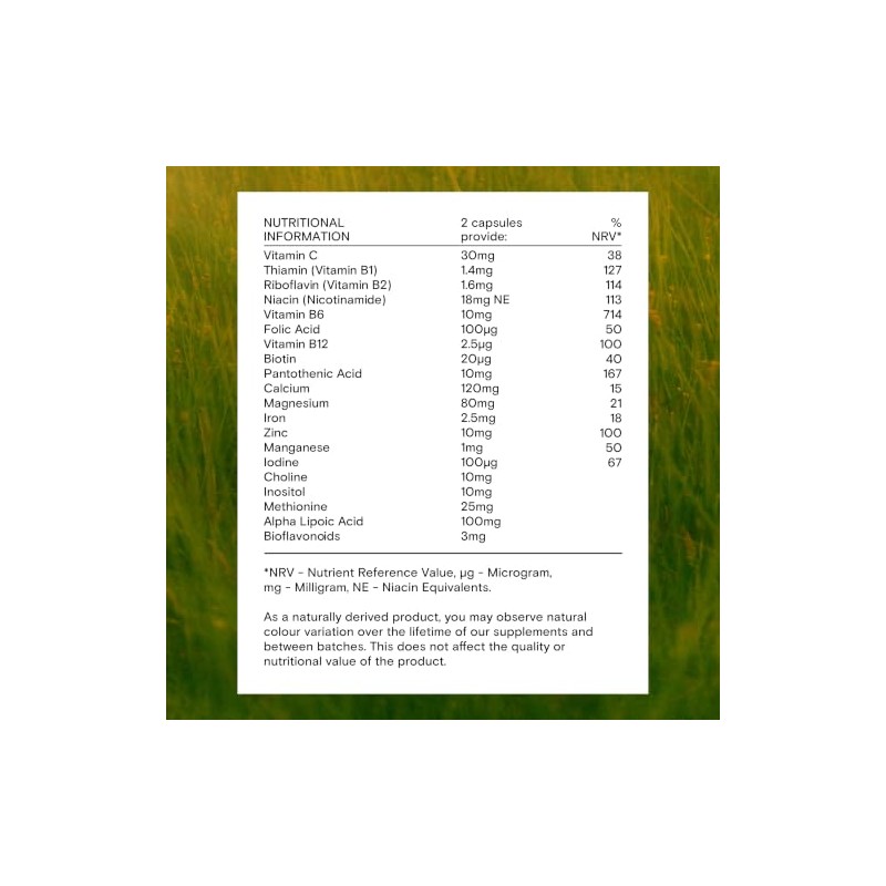 WILD NUTRITION Energy Support