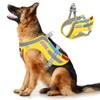 Yellow & Orange Winged Dog Harness - Adjustable No-Pull Vest