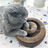 BLIWINPT Interactive Scratching Board for Playful Kitties Magic Accordion Cat