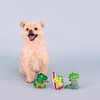 Fringe Studio Plush Dog Toy Set, Rawr-Ing Summer, Small 3