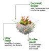 16 Ounce Plastic Salad Bowls, 100 Square Disposable Entree Bowls