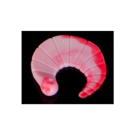 Sänger Iron Trout Coda Floating Trout Bait White Red 8040107