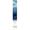 Eveever Sleeping Whitening Mask 250ml+Aloe Soothing Gel 300ml+Sooryehan Foam 100ml