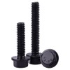 1/4-20 x 1 Black Flanged Hex Head Bolts Screws, 304