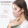 ICHIMIZU Spring Improved Pollen Mask, 3D Mask, 60 Pieces (10