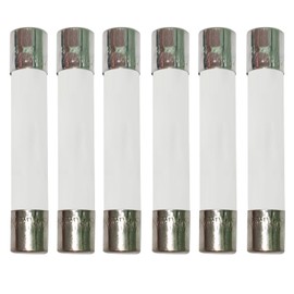 XFFCSEC 20 Amp Microwave Fuse 250V Slow-Blow Ceramic Fuse 20A Compatible and Universal Replacement for High Pointe and Frigidaire Microwaves - RV Microwave Replacement Parts (6 PCS)