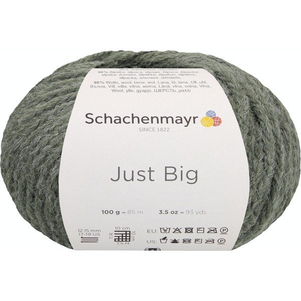Schachenmayr Just Big, 100 g Sage Mottled Hand Knitting Yarn