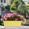 HOXHA 6 Pack Window Box Planter, 17 inches Plastic Vegetable