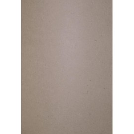 Netuno 50 x Natural Cardboard Grey DIN A4 210 x 297 mm 240 g Flora Crusca Eco Card Card Creative A4 Environmental Card Quality Natural Cardboard Craft Sheet for Decorative Projects DIY Arts and Crafts