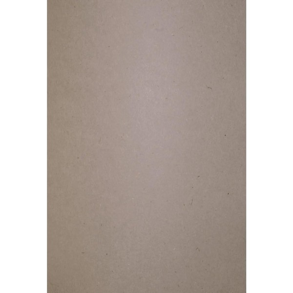 Netuno 50 x Natural Cardboard Grey DIN A4 210 x