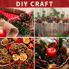 Qingbei Rina Christmas Bowl Fillers Vase Fillers, Xmas Natural Pinecones for Crafts,Medium Rustic Pine Cone Ornaments with Golden Balls&Berries,Winter Holidays Farmhouse Home Decor