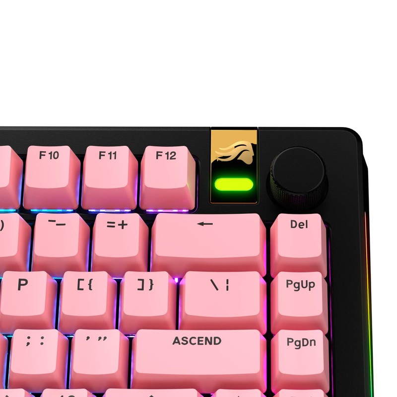 Glorious Gaming - GPBT Basics (PBT Keycaps), Potion Pink, No