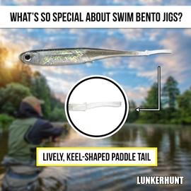 Lunkerhunt Bento Bait Fishing Lure (6 Pieces)| Each 3-Inch, Dace Color | Life-Like Saltwater and Freshwater Fish Baits, Award Winning, Soft Body for Bass Trout Fishing