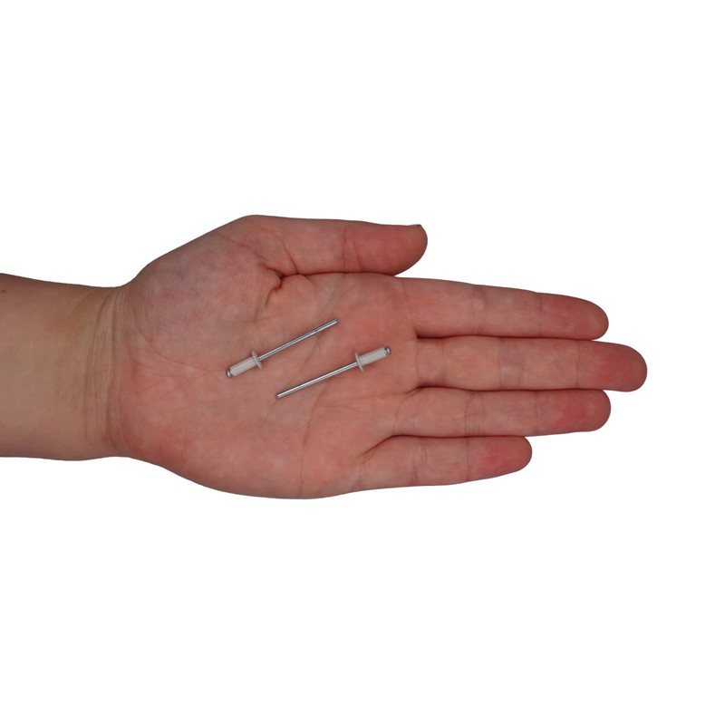 Marcopol Pack of 100 Painted Blind Rivets 3.2 x 8