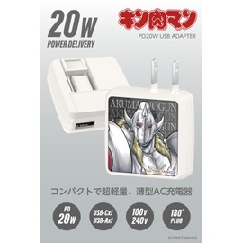 Tama Electronics Industries Kinnikuman PD20W AC Charger Kinnikuman (Demon Shogun (Gray))