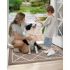 DEXI Door Mat Entryway Doormat, Front Back Door Entry Mat,