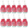 Floral Scent Hand Wash 300ml 10 Units