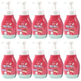 Floral Scent Hand Wash 300ml 10 Units