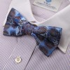 Dan Smith Men'S Bowtie Blue Feel Silk Paisley Bow Ties