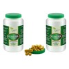 VITAIDEAL Vegan® Turmeric Root (Curcuma) 2 x 360 Vegetable Capsules