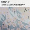 Noren Workshop Noren Japanese Style Spring Cherry Blossom Tapestry Room