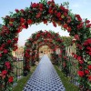 Arco De Boda Decoracion Plantas Fiesta Metal Con Base 2.4m