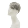 Gray Hair Concealing Wig Parting Type Light Gray Hair