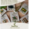 SaatPur Pimpinelle Seeds for Approx. 90 Plants Meadow Button Green