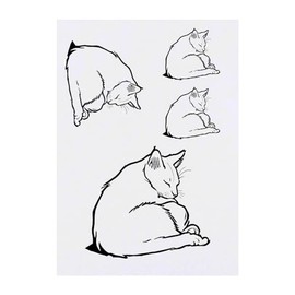 4 x 'Singapura Cat Napping' Temporary Tattoos - Water Resistant, Skin-Safe, Non-Toxic Transfers, Mixed Sizes (TO00071576)