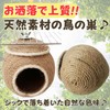 Leap Raupe Bird Nest Bird Tent Birdhouse Summer Bunting Birds