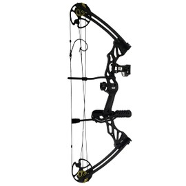 Southland Archery Supply Outrage 70 Lbs 31'' ATA Hunting Compound Bow Starter Package - Black